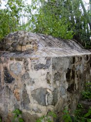 HofiMango_20110407_028